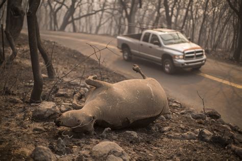 Photos Northern California Is Devastated By Wildfires Orange County