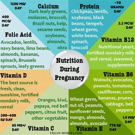 Proper Nutrition During Pregnancy Eases Pregnancy Symptoms