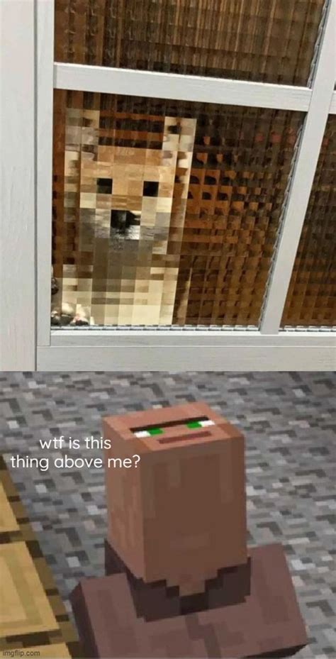 Image Tagged In Minecraft Villager Looking Up Imgflip