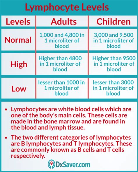 What Is Lymph Blood Test Know About Percentage Test Cost And More