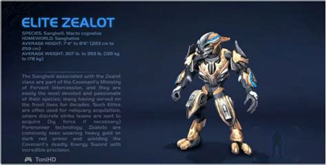 Imagen Elite Zealotpng Halopedia