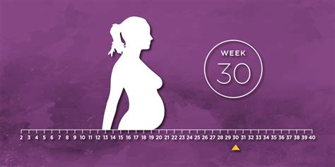 So Its Your 30th Week Of Pregnancy Heres Everything You Need To