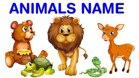 Animals Names And Sounds For Kids Animals Name For Kids Videos For