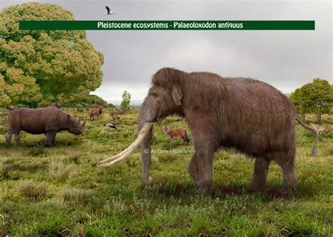 Palaeoloxodon Antiquus Forest European Elephant By
