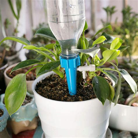 Plant Watering Funnel Keeps Plants Hydrated And Healthy Water Plants