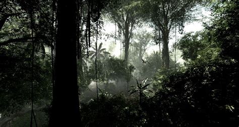 Dark Rainforest Dark Jungle Hd Wallpaper Pxfuel