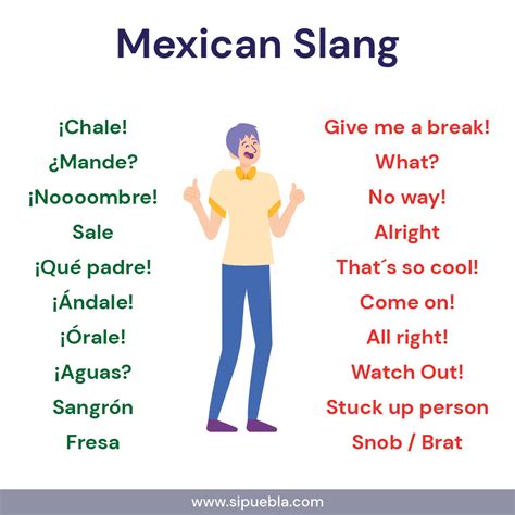 Mexican Slang