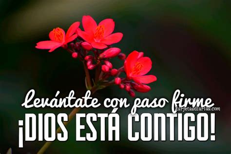 LevÁntate Con Paso Firme ¡dios EstÁ Contigo