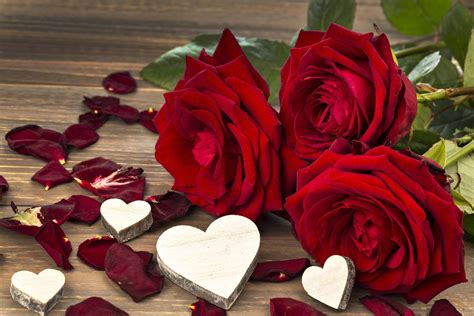 Pin By Rachana On Heart Rose Flower Wallpaper Love Rose Flower