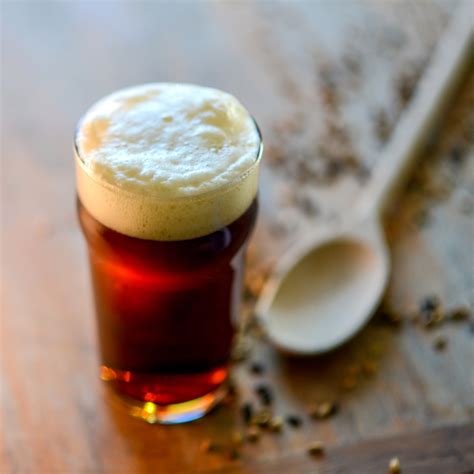 Aztec Style Brown Ale Beer Recipe American Homebrewers Association