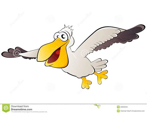 Pelican Bird In Flight Royalty Free Stock Photo Image