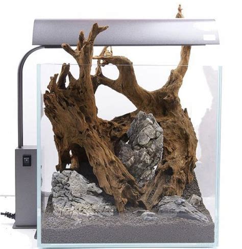 Driftwood Aquascape Many Many