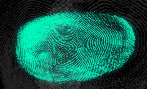 Fingerprint Brush Fx Ray