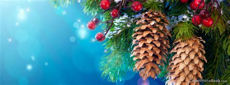 Christmas Tree Pine Cones Facebook Cover Holidays