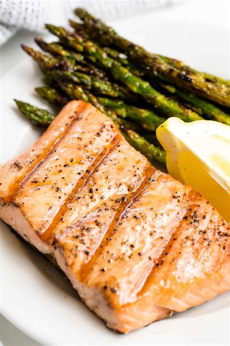 Cuisinart Griddler Recipes Salmon Dandk Organizer