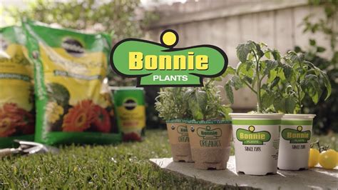 The Harvest Is In Your Hands With Bonnie Plants Youtube