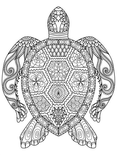 Intricate Cat Coloring Pages At Getdrawings Free Download