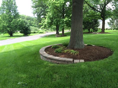 4 Benefits Of Mulching Around Trees With Images Landscaping Around