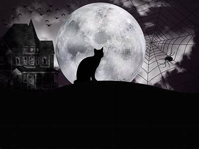 Moon Halloween Cat Night Sky Witches Fantasy