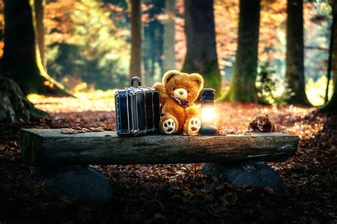 Hd Wallpaper Teddy Bears Toys Trees Wallpaper Flare