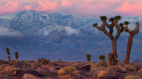 California Desert Wallpapers Top Free California Desert Backgrounds