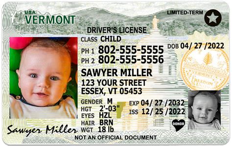 Vermont Kid Driver License For Children Under 12 1 Cute Pooch