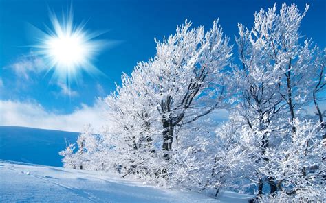 Sunny Winter Landscape Wallpapers And Images Wallpapers Pictures Photos