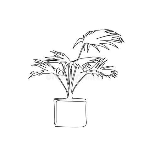 Continuous Line Drawing Of Tropical Palm Plant In Pot Tropical Plant