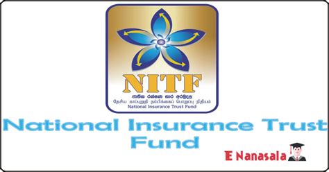 National Insurance Trust Fund Nitf Assistant Manager