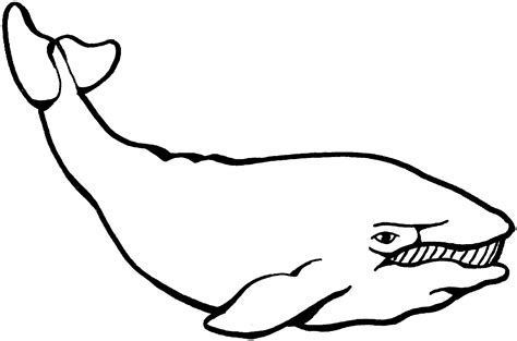 This coloring page can also serve as a means to educate your child about the biodiversity of starfish. Clipart Panda - Free Clipart Images