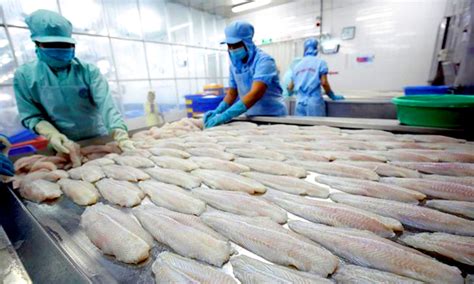 Seafood Industry Expects To Remain On Growth Path Dương Luật Dịch