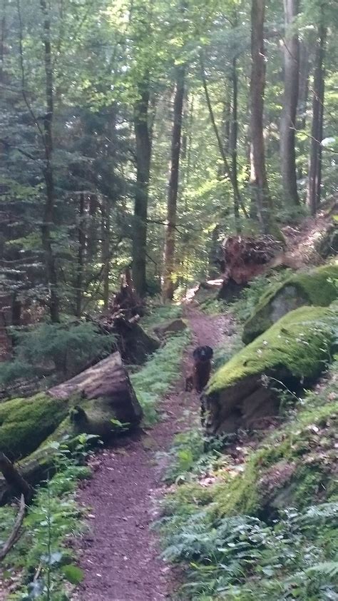 Neustadt Kaltenbrunner Tal Totenkopfh Tte Hellerh Tte K Nigsberg