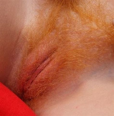 Close Up Hairy Redheads Pussy