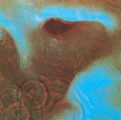Top 10 Pink Floyd Album Covers