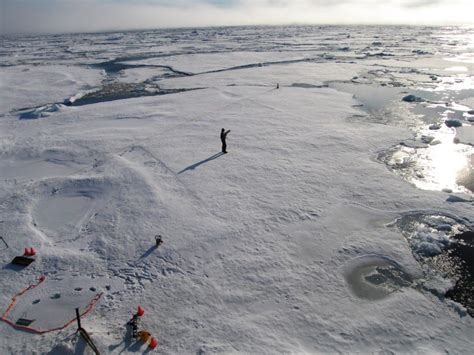 Nasa Discovery Sea Life Burgeoning Under Thinning Ice Of Arctic Ocean