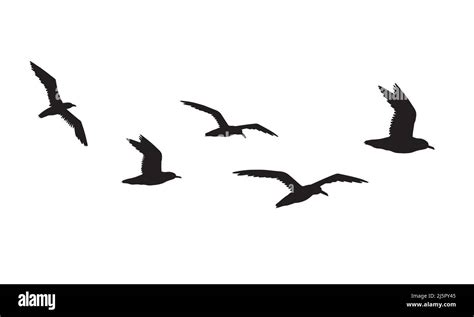 Vector Black Flock Of Seagulls Flying Silhouette Isolated On White