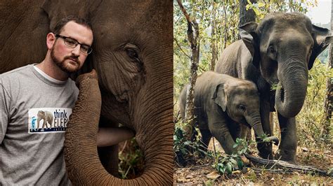 Hunterhome How Elephants Think Studying Their Behavior Can Help Us