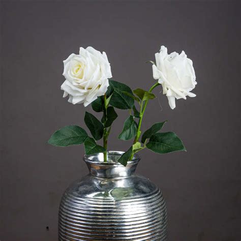 Large White Garden Rose Wholesale By Hill Interiors
