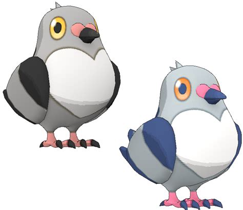 Pidove Pokemon Png Isolated Picture Png Mart
