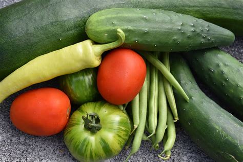 How To Manage Your Garden Harvest Without Losing Your Mind Manuel