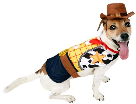 Woody Dog Fancy Dress Disney Toy Story Cowboy Pet Puppy Animal Costume