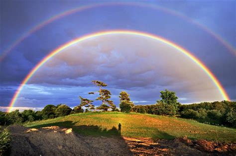 Rainbow Flickr
