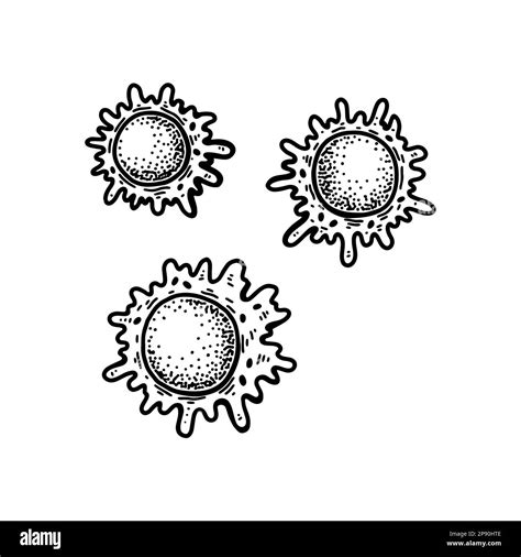 Macrophage White Blood Cell Black And White Stock Photos And Images Alamy