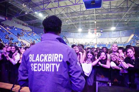 How Security Guards Control Crowds Blackbird Security