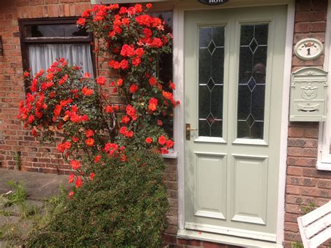 Roses By The Door Outdoor Decor Doors Home Decor