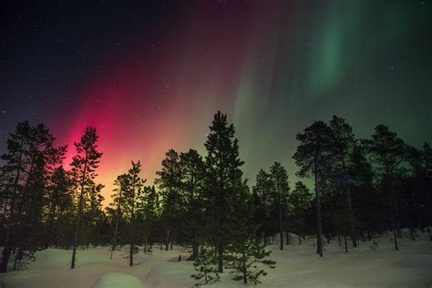 The Aurora Borealis In Sweden Image Free Stock Photo Public Domain