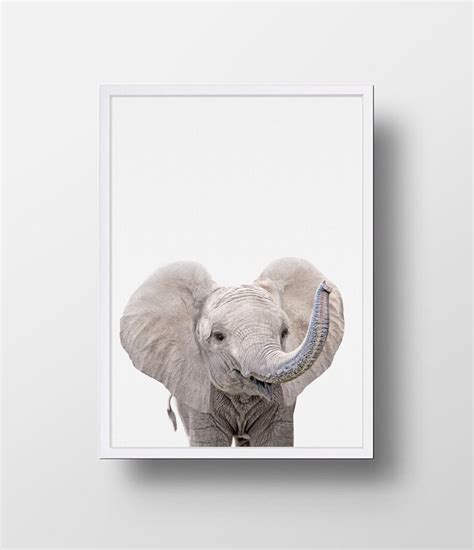 Baby Elefant Druck Wandkunst Baby Elefant Tier Druck Safari Etsy