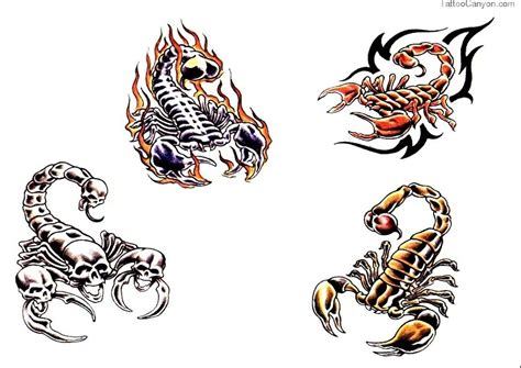 Scorpion Tattoo Drawing At Getdrawings Free Download