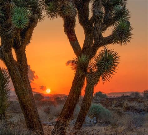 High Desert Sunset Ii Hdr Creme