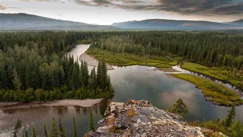 Sustaining Canadas Boreal Forest The Pew Charitable Trusts